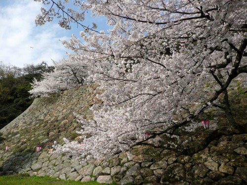 鳥取城跡・久松公園