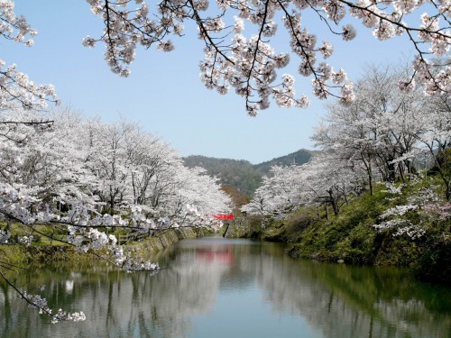 鹿野城跡公園