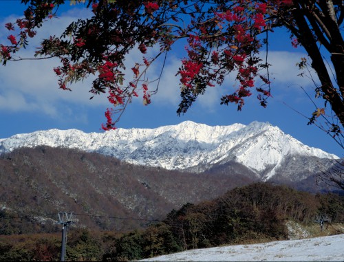 奥大山スキー場