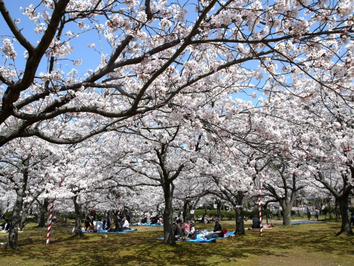 湊山公園