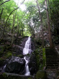 杉神社