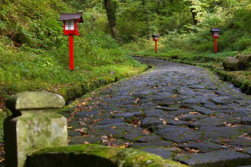 ブナの森古道