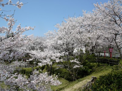 境台場跡・境台場公園