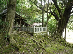 赤猪岩神社