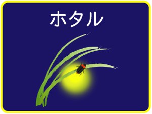 金田川「ほたるの里」