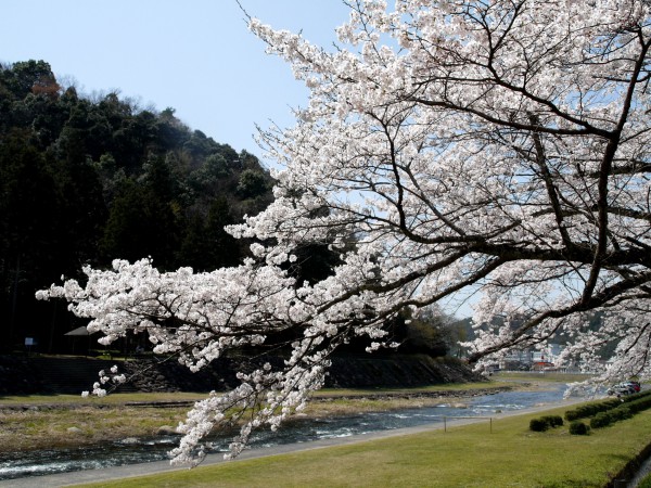 三朝温泉やなせ公園