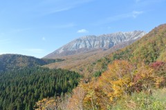 大山秋色週間